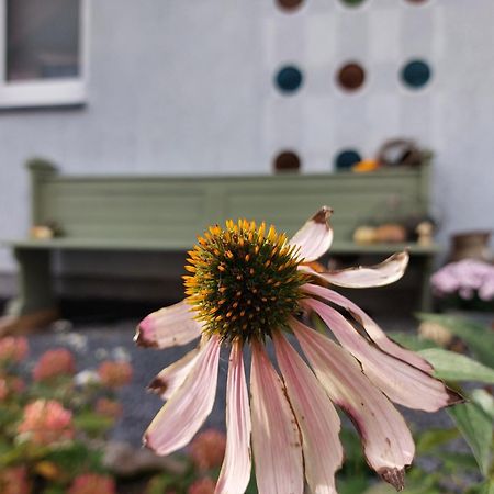 Ferienwohnung Auszeit Osterode Osterode am Harz Eksteriør billede
